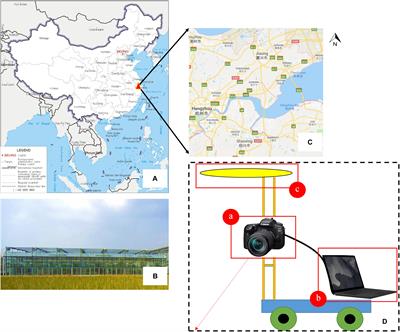 A Monitoring System for the Segmentation and Grading of <mark class="highlighted">Broccoli</mark> Head Based on Deep Learning and Neural Networks